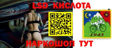Альфа ПВП Моздок