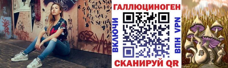 Галлюциногенные грибы мицелий  Тутаев 