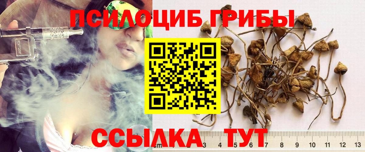 Псилоцибиновые грибы ЛСД  Псилоцибиновые грибы Psilocybine cubensis  Тутаев 